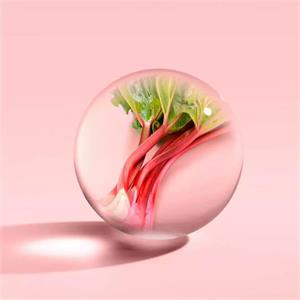 Molton Brown Delicious Rhubarb & Rose Eau de Toilette 100ml